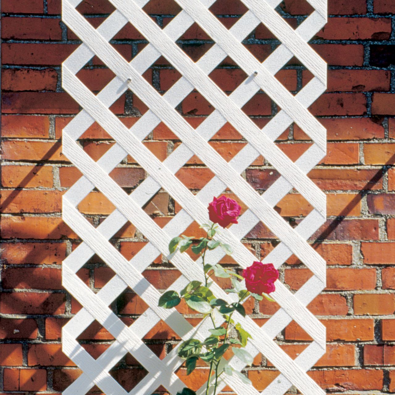 V37121_Rankgitter_Spalier_Coventry-Classic_weiss_2oMY3WZgIWnp8S_1280x1280.jpg