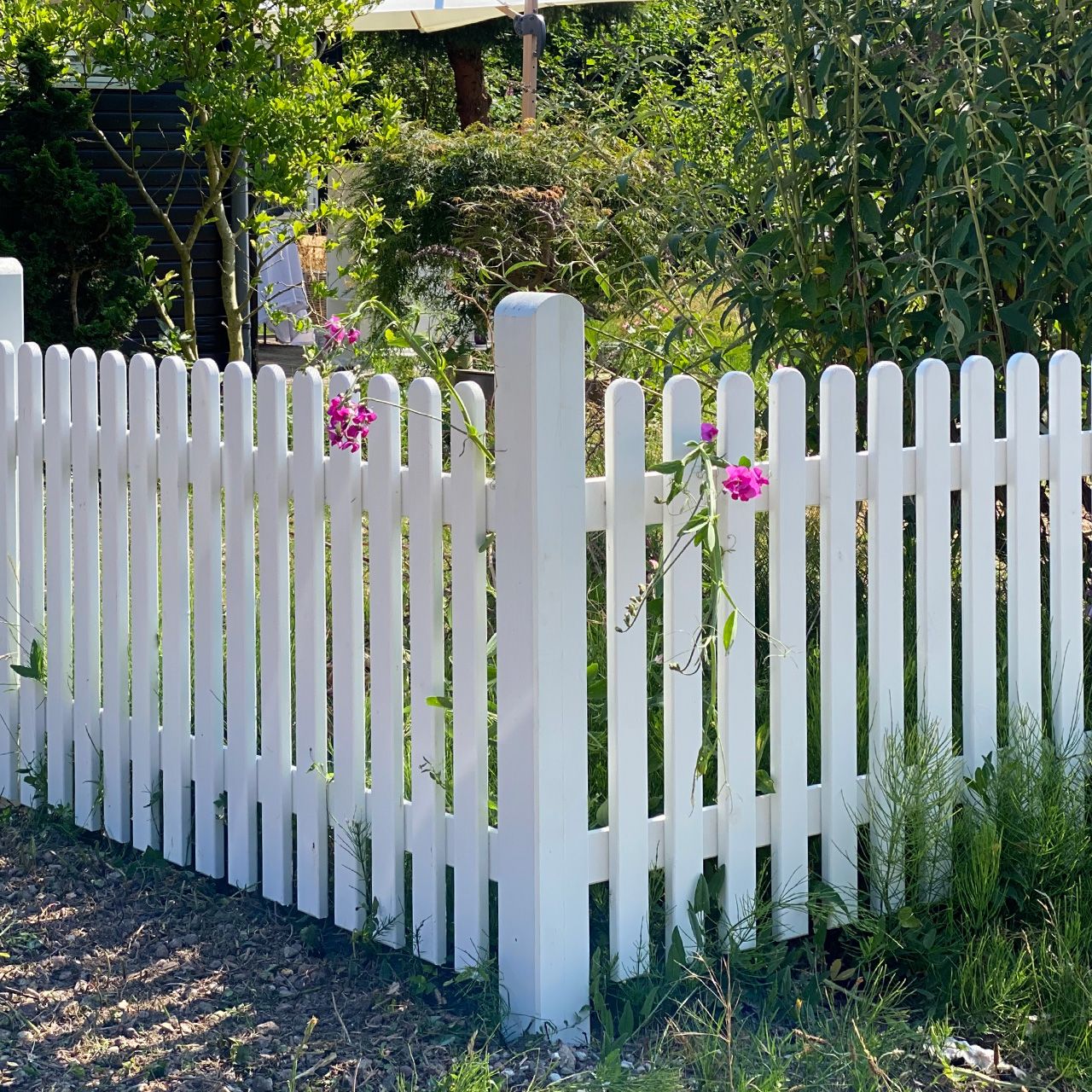 A6558_Gartenzaun_Holz_Stockholm_weiss_80cm_1_1280x1280.jpg